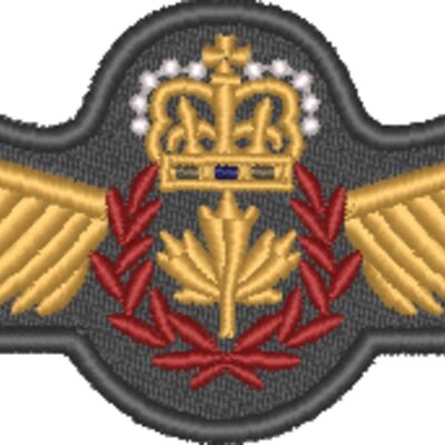  Air Force Wings Thumbnail