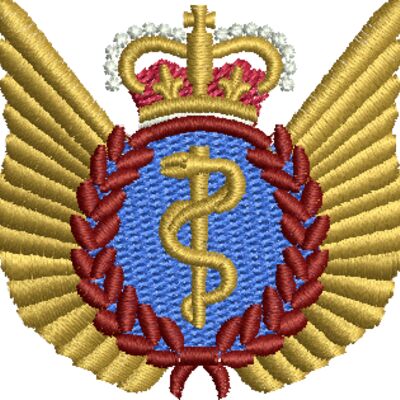 Flight Surgeon Wings Thumbnail