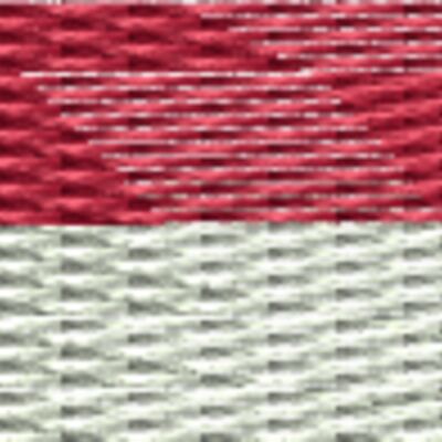 Indonesian Flag Thumbnail