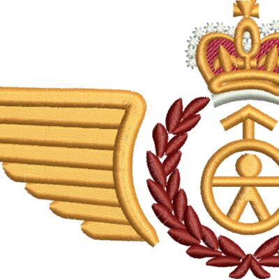  Safety Systems Tech badge Thumbnail