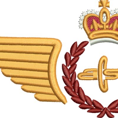  Aircraft Structures Tech badge Thumbnail