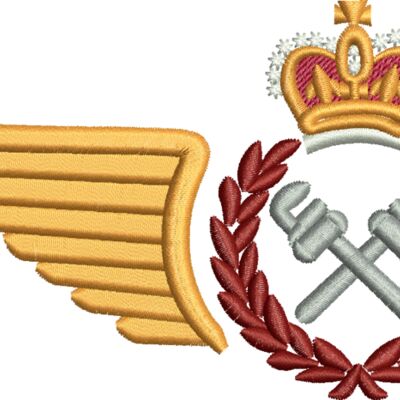 Plumbing and Heating Tech badge Thumbnail