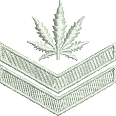 Master Corporal Thumbnail