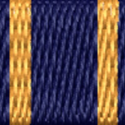 Air Force Commendation Medal Thumbnail