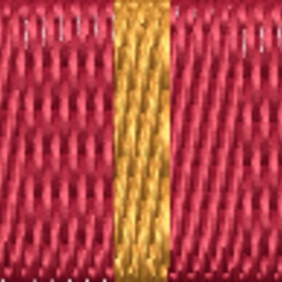 Basic Training Honor Graduate Ribbon Thumbnail