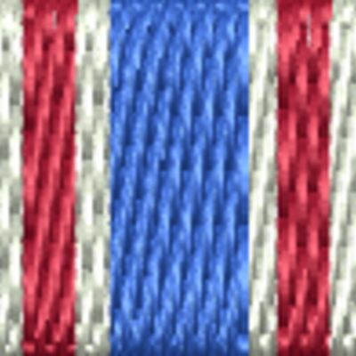 Coast Guard Medal Thumbnail