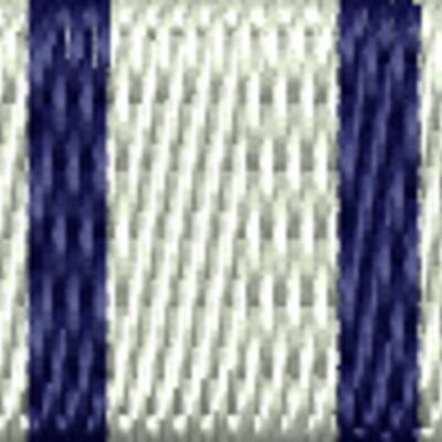 Coast Guard Presidential Unit Citation Thumbnail
