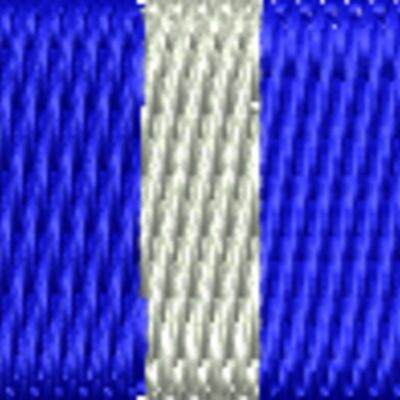 Coast Guard Bicentennial Unit Commendation Thumbnail