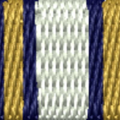 Coast Guard E Ribbon Thumbnail