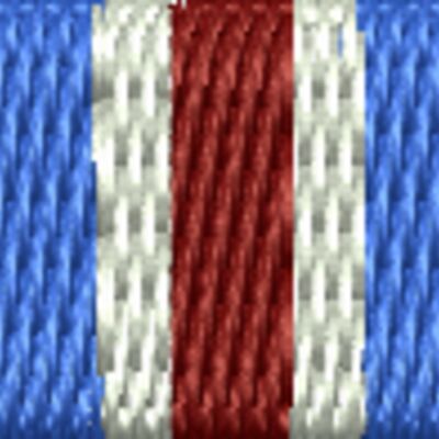 Coast Guard Restricted Duty Ribbon Thumbnail