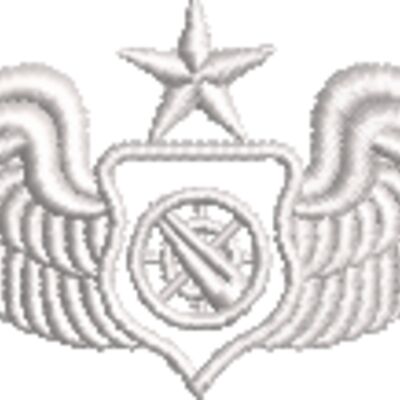 USA Air Battle Manager Badge Thumbnail
