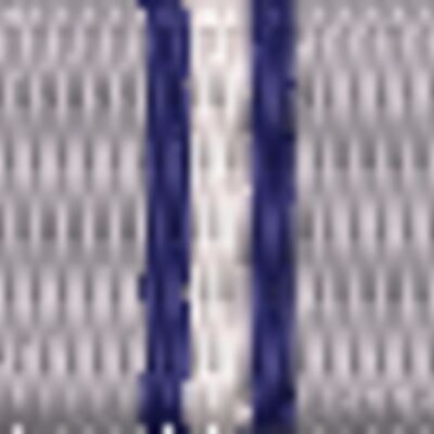 Armed Private Security Service Medal Thumbnail