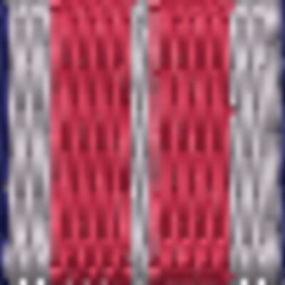 Private Security Distinguished Service Medal Thumbnail