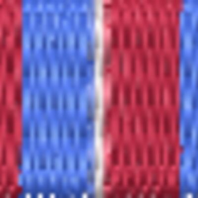 Private Security Federal Contract Service Medal Thumbnail