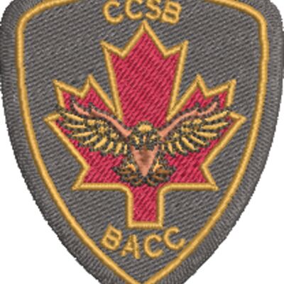 Canadian Combat Support Brigade Thumbnail