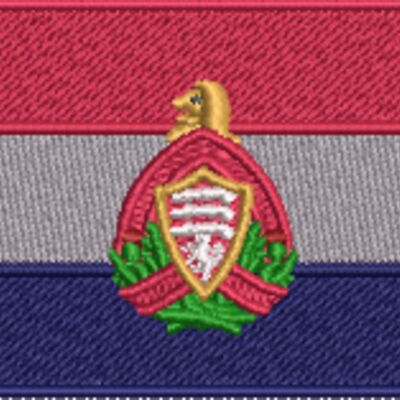 Medium Essex and Kent Scottish Regiment flag (1¾ x 3¼ in) Thumbnail