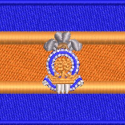 Medium The Princess of Wales' Own Regiment flag (1¾ x 3¼ in) Thumbnail
