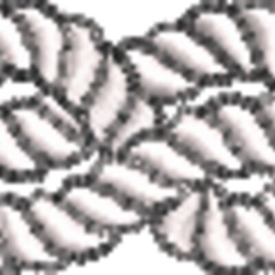 Knot-Rope Thumbnail