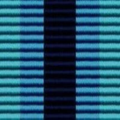 Arctic Service Medal Thumbnail