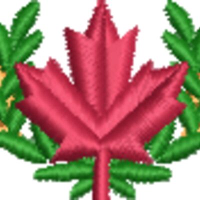 Canadian Non-military Pilots Wing Thumbnail