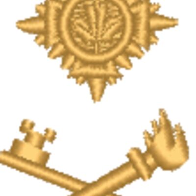 Regional Guard Commander Thumbnail