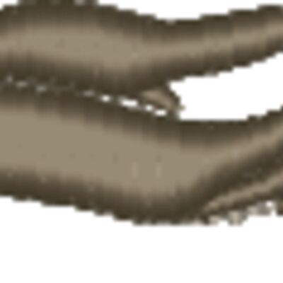 Hand Thumbnail