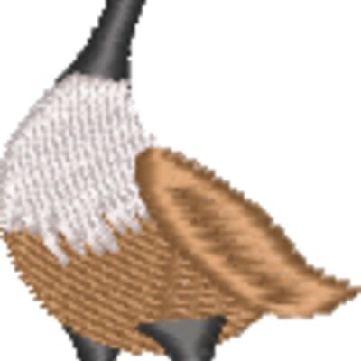 Canadian Goose Thumbnail