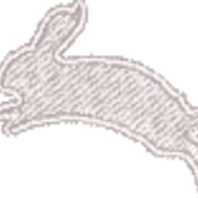 Rabbit Thumbnail