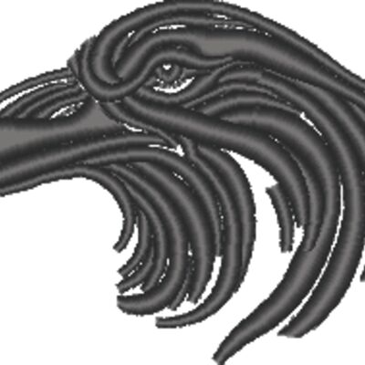 Raven Thumbnail