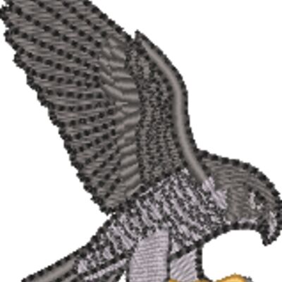 Falcon Thumbnail