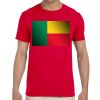 Adult Softstyle® T-Shirt Thumbnail