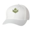 Wooly 6-Panel Cap Thumbnail