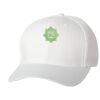 Wooly 6-Panel Cap Thumbnail