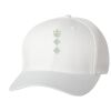 Wooly 6-Panel Cap Thumbnail