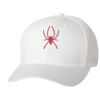 Wooly 6-Panel Cap Thumbnail