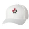 Wooly 6-Panel Cap Thumbnail