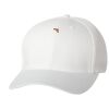 Wooly 6-Panel Cap Thumbnail