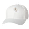 Wooly 6-Panel Cap Thumbnail
