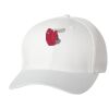 Wooly 6-Panel Cap Thumbnail