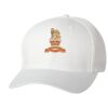 Wooly 6-Panel Cap Thumbnail