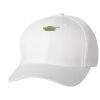 Wooly 6-Panel Cap Thumbnail