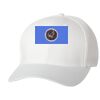 Wooly 6-Panel Cap Thumbnail