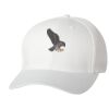 Wooly 6-Panel Cap Thumbnail
