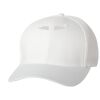 Wooly 6-Panel Cap Thumbnail